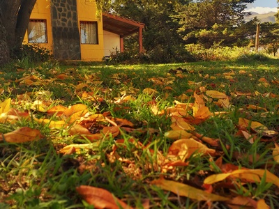 Cabañas Sayacuha Huasi - Tafí del Valle